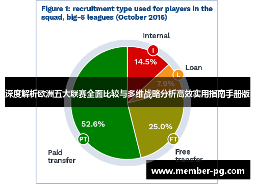 深度解析欧洲五大联赛全面比较与多维战略分析高效实用指南手册版